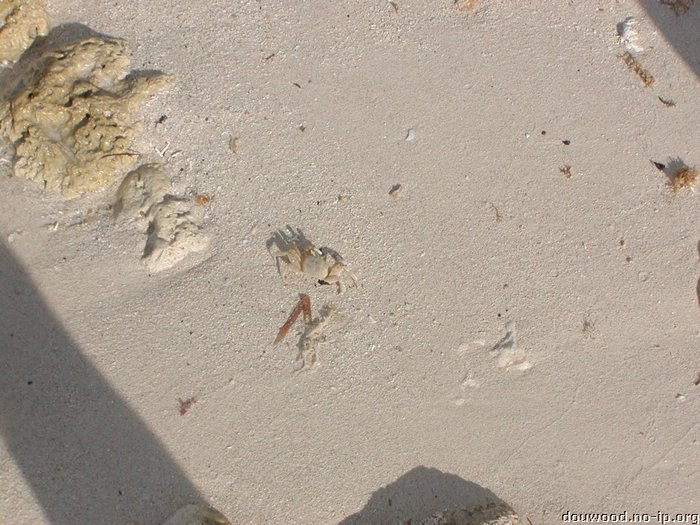 P2204944.JPG