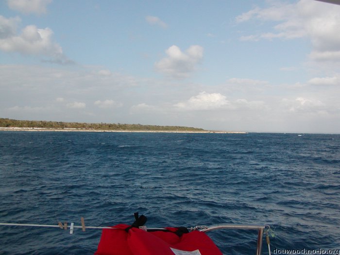 P2204978.JPG