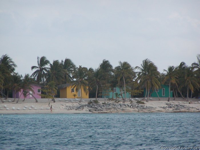 P2204984.JPG