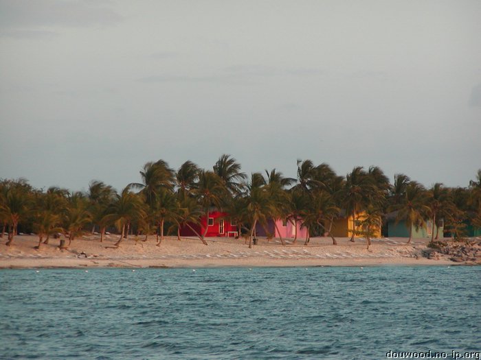 P2214988.JPG