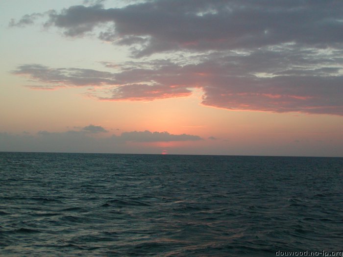 P2215003.JPG
