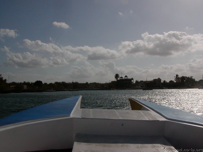 P2215033.JPG