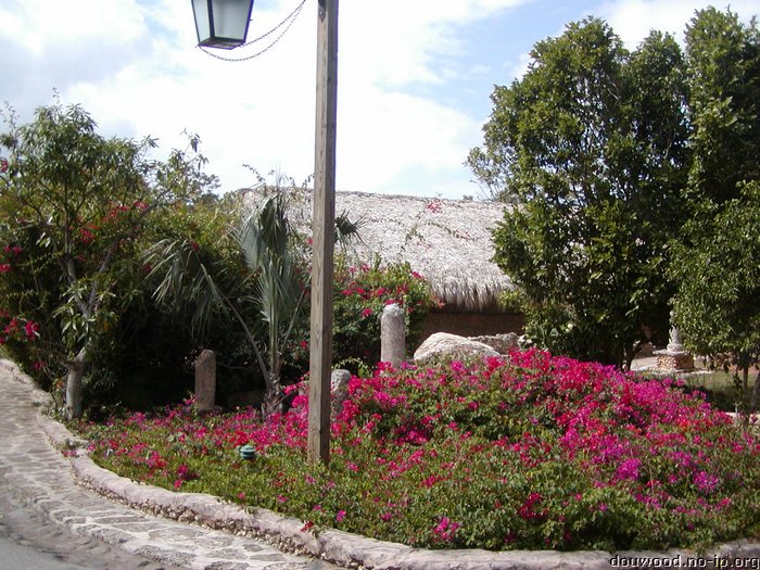 P2215042.JPG
