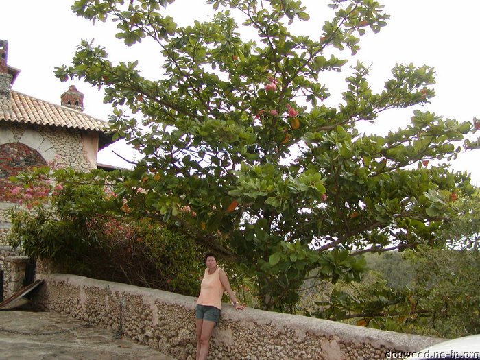 P2215071.JPG