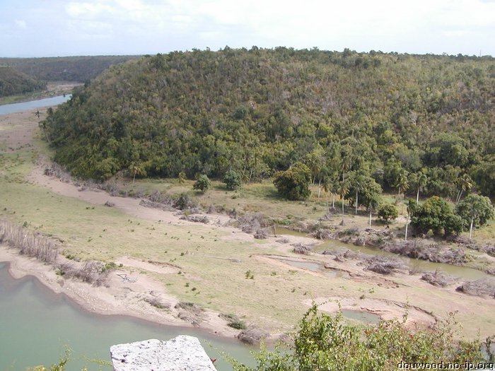P2215076.JPG