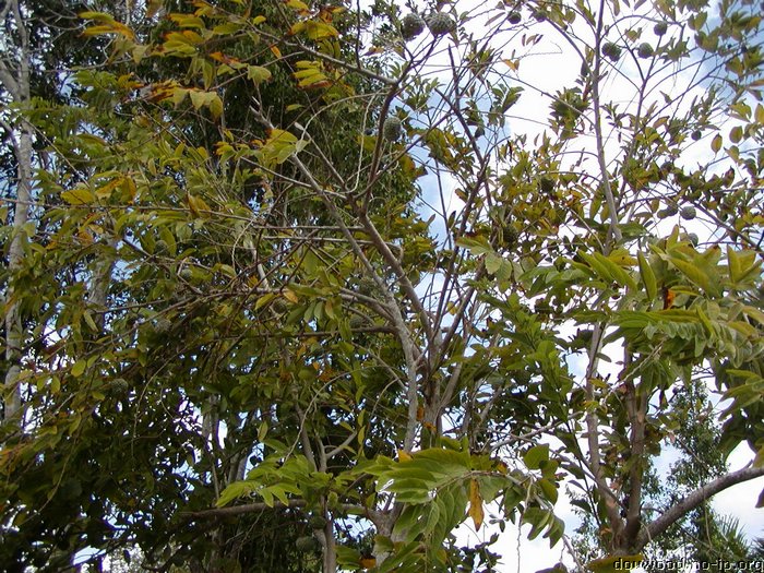 P2215086.JPG