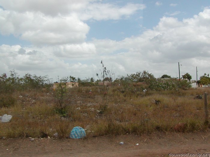 P2215093.JPG