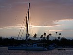 P2154496.JPG