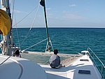 P2154520.JPG