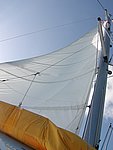 P2154523.JPG