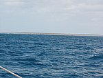 P2154530.JPG