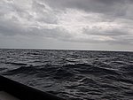 P2154535.JPG