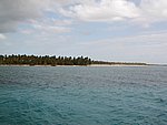 P2154536.JPG