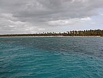 P2154537.JPG