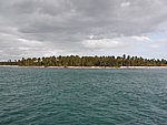 P2154539.JPG