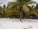 P2154544.JPG