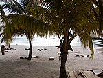 P2154549.JPG