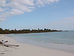 P2154554.JPG