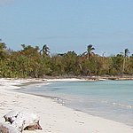 P2154558.JPG