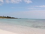 P2154559.JPG