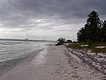 P2154562.JPG
