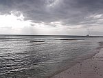 P2154564.JPG