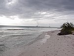 P2154565.JPG