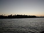 P2164575.JPG