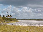 P2164581.JPG