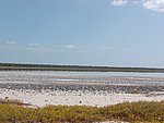 P2164582.JPG