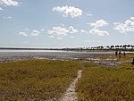 P2164583.JPG