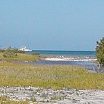 P2164584.JPG