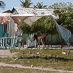 P2164591.JPG