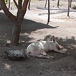 P2164592.JPG