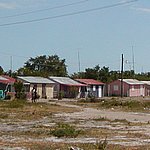 P2164593.JPG