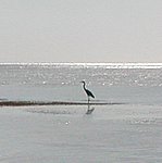 P2164596.JPG
