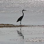 P2164600.JPG