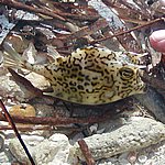 P2164607.JPG