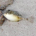 P2164609.JPG