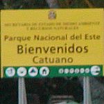 P2174621.JPG