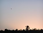 P2174646.JPG