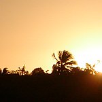 P2174653.JPG
