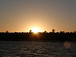 P2174655.JPG