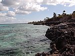 P2174658.JPG