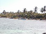P2174665.JPG