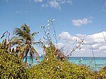 P2174670.JPG
