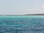 P2174689.JPG