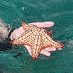 P2174700.JPG