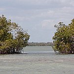 P2174710.JPG