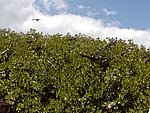 P2174727.JPG
